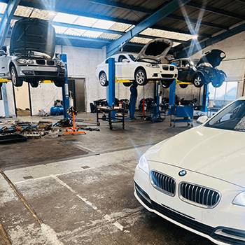 BMW Engine Specialist